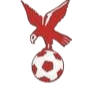 https://img.huiyouguo.com/img/football/team/4802d26df935b78bb2fcdbbff36e8864.png